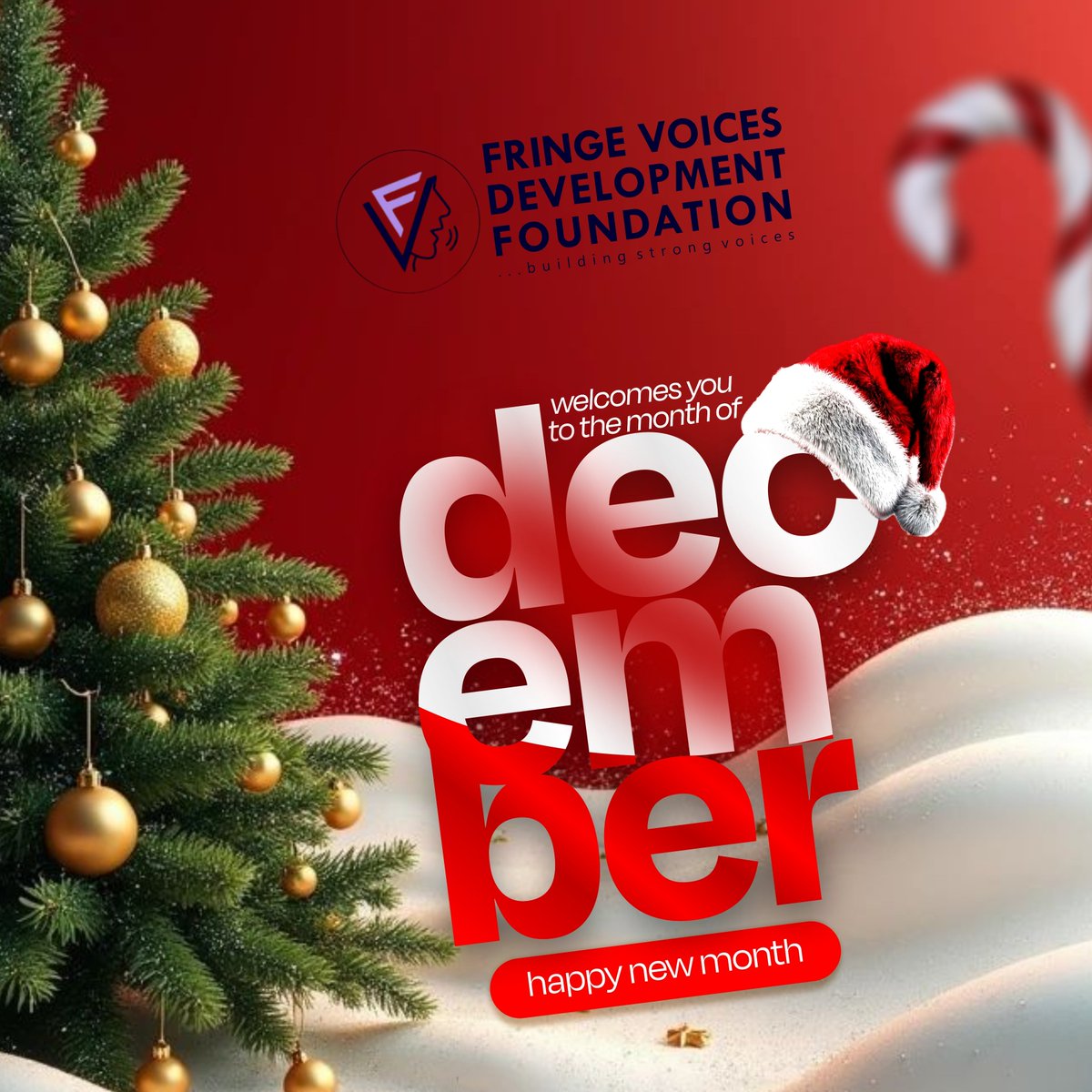 FringeVoices tweet media