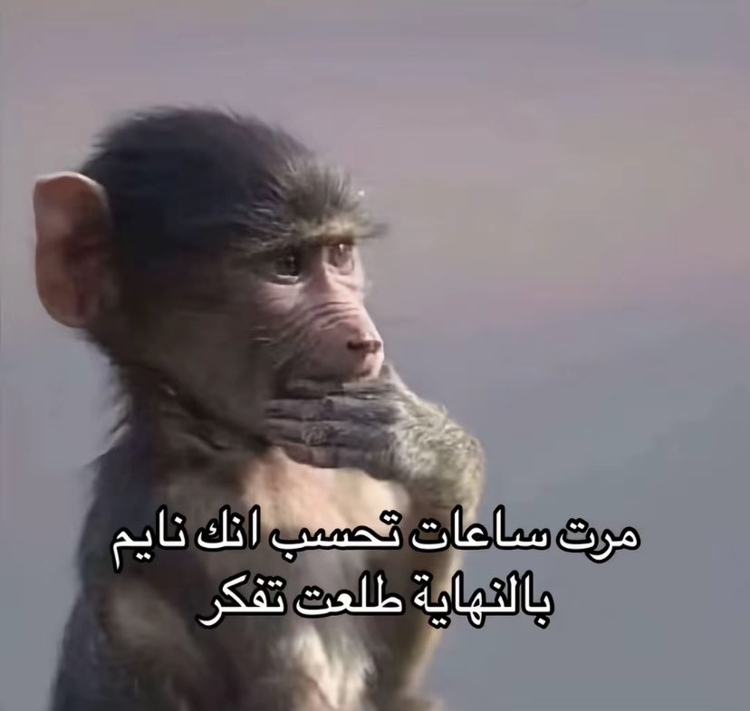 ليّن (@cnnp_) on Twitter photo 