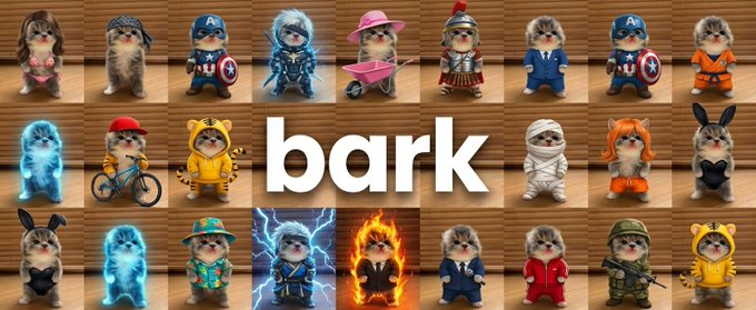 have you ever seen a cat which is barking?

meet $bark accumulated 330k likes and over 1.5M views.

first bark on cat on solana

$bark

tiktok:
tiktok.com/@kitti.kitti71…

Community: x.com/i/communities/…