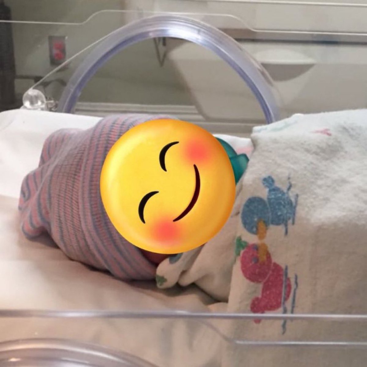 mindm3niac's tweet photo. i know i was pretty inactive this week, but i wanted to let you guys know my baby girl was finally born today🥹 Welcome to the world, Wegottman💕I can’t wait until you’re old enough to understand the meaning of your name, my angel👶🛡️🪽 https://t.co/yOUhMAgRBv