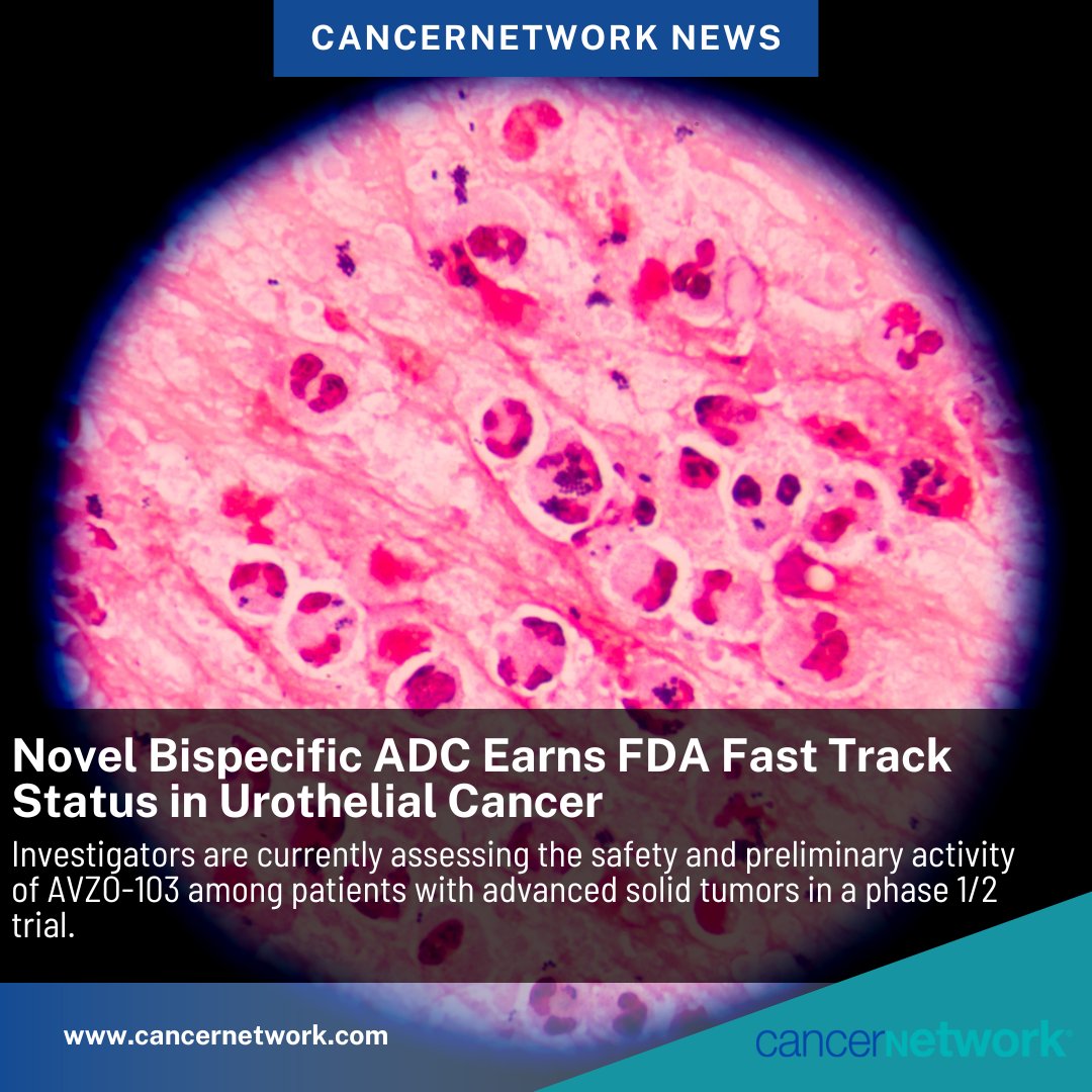 CancerNetwrk's tweet image. The FDA has granted FTD to AVZO-103, an investigational Nectin4/TROP2 bispecific ADC, for adults with locally advanced or metastatic urothelial cancer following prior receipt of enfortumab vedotin.

hubs.li/Q03VT5ZB0

#cancer #oncology