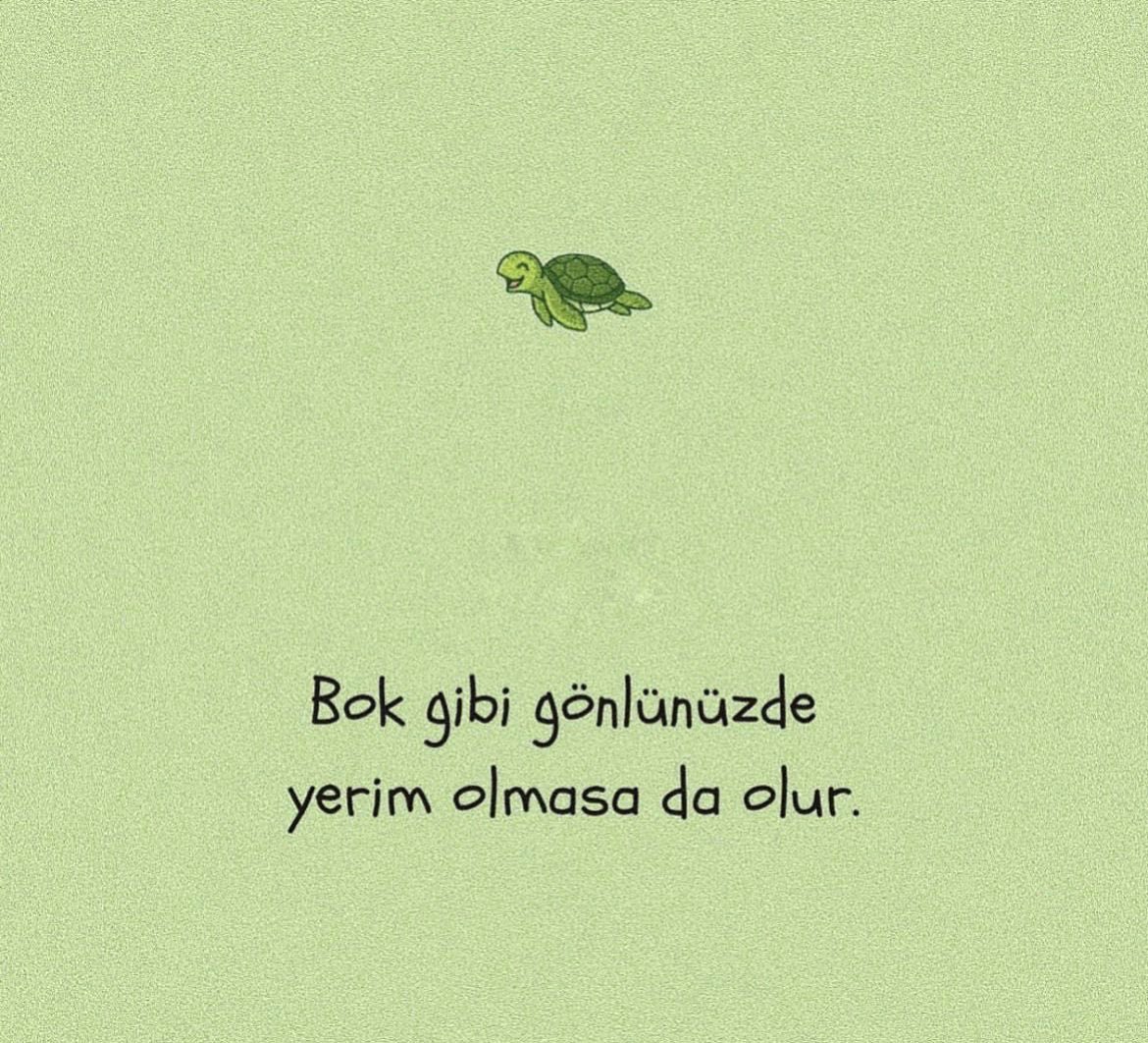Affedersiniz ama aynen öyle.