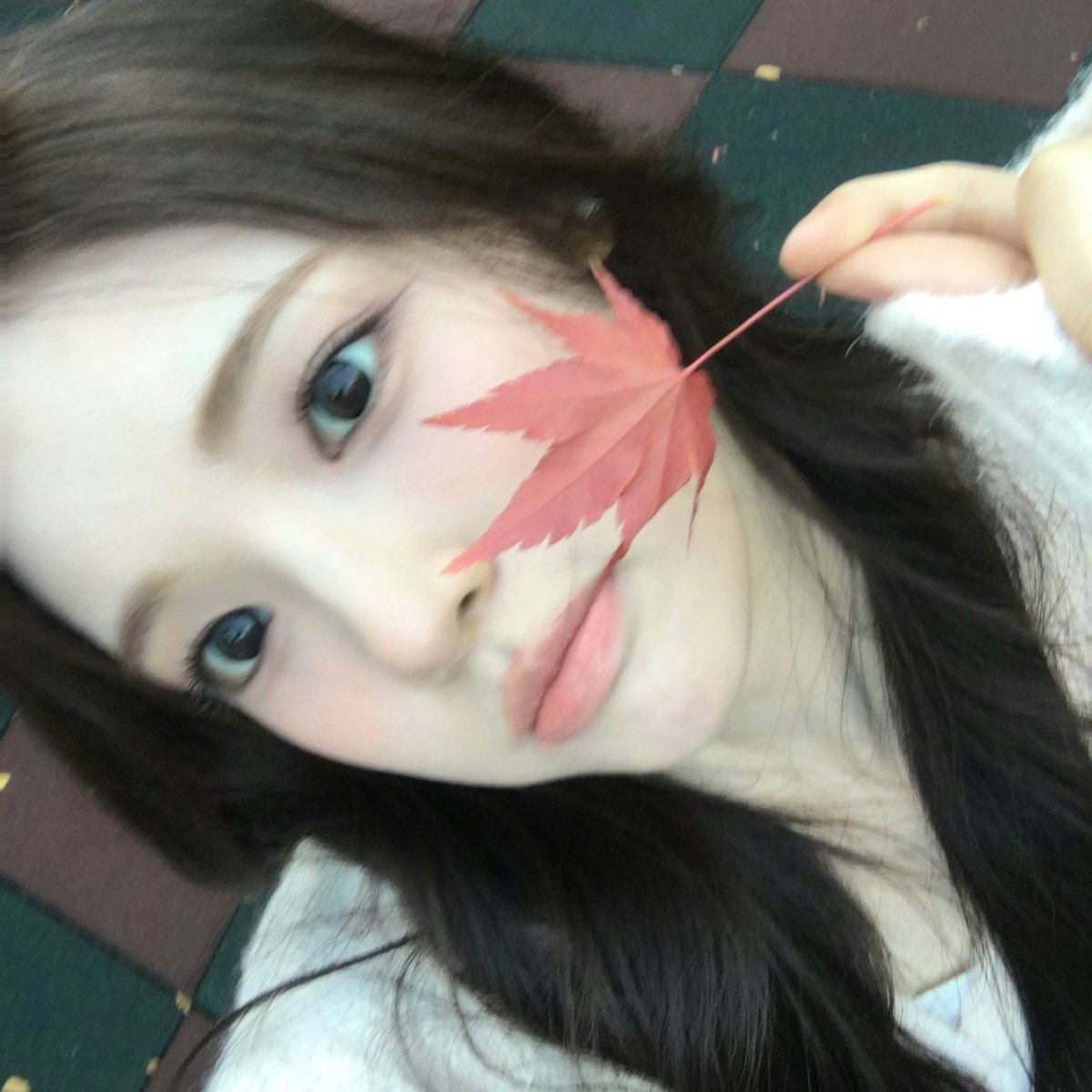 h2hgirlz's tweet image. not including yuha with this insane facecard..