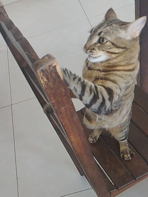 Ana Sol🏳️‍⚧️ tweet media