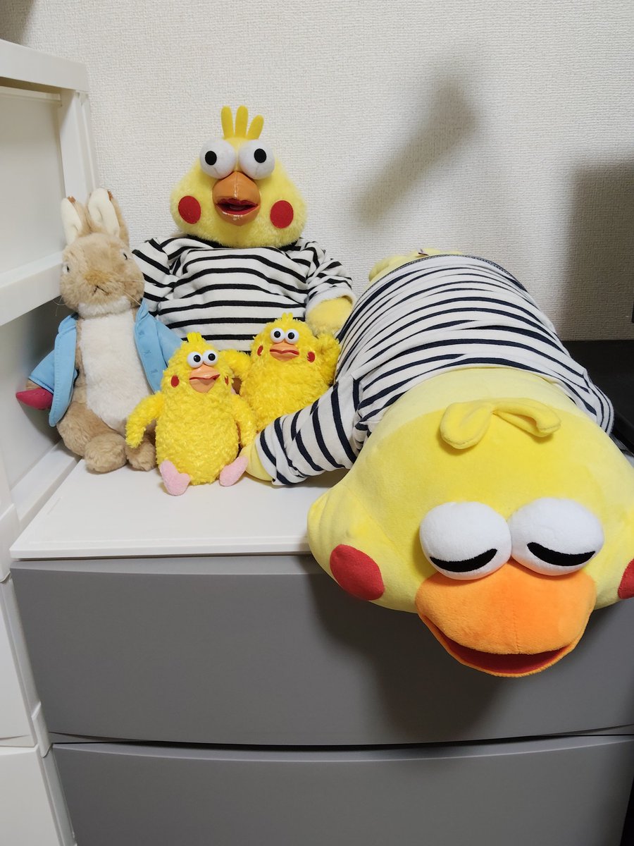 ポインコと山歩き🐥🐥🐾 (@paopaopanda_jp) / Posts / X