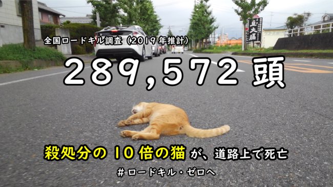 ミルクティーネコページ 000000006433_bsMKc63.jpg