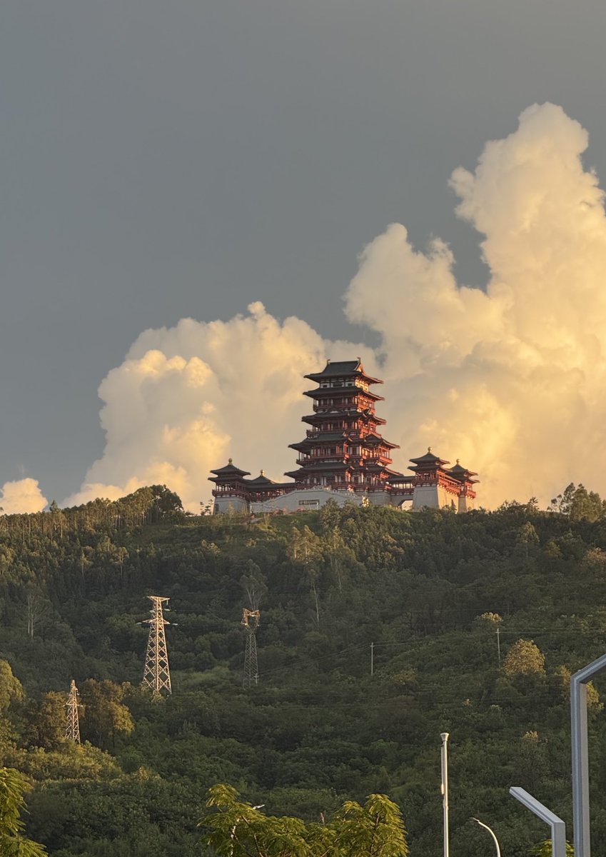 تركي العبدالله | علاج طبيعي🏋🏻‍♂️ tweet media