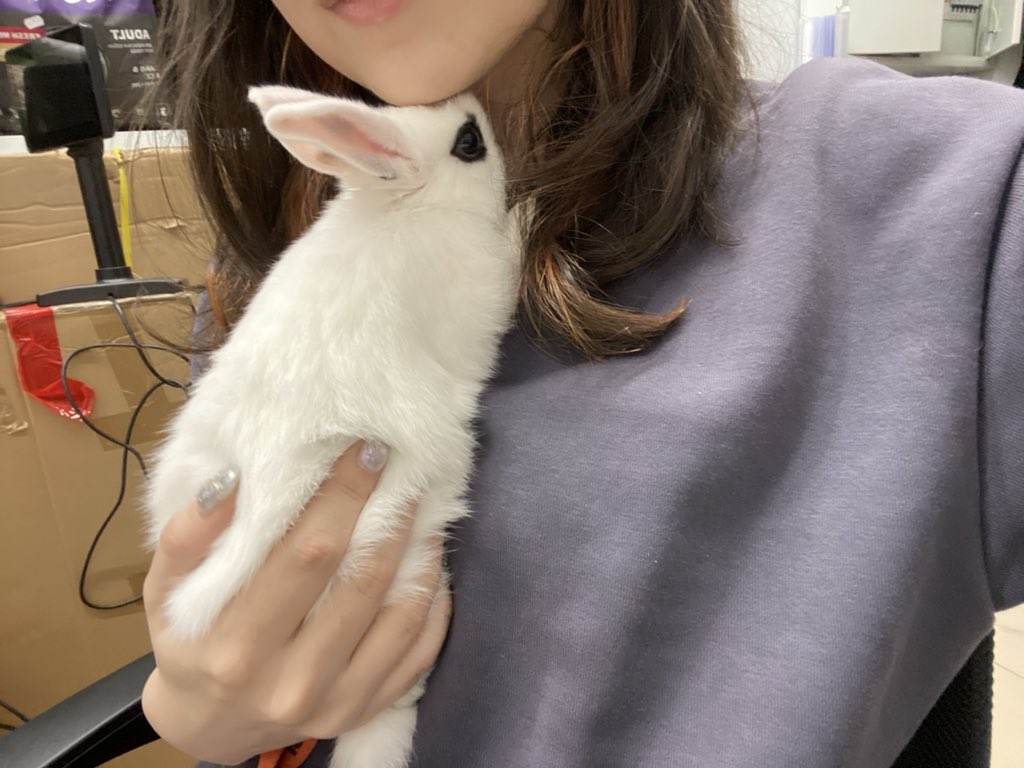 𝚕𝚒𝚣 𓆩ᥫ᭡𓆪 (@lalisalandd) on Twitter photo 