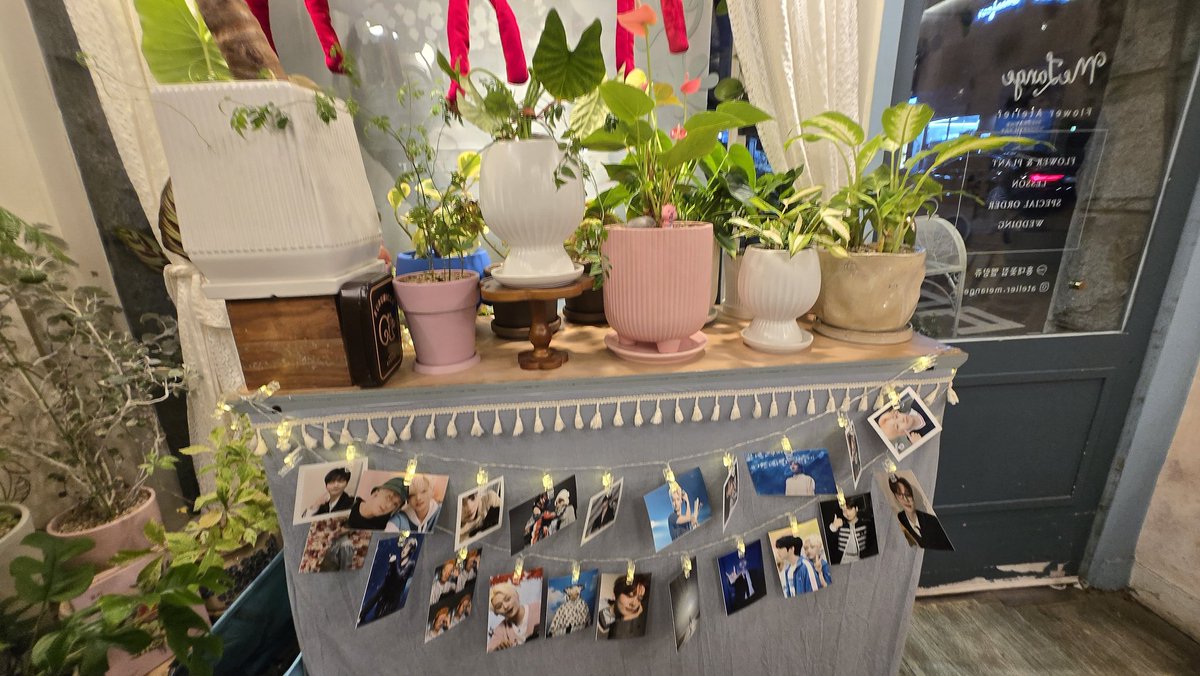 🎉💜석화 생일꽃집 멜랑쥬🎉💜
#캉이에게_모두_주목
퇴근하고 가서 석화생일꽃집을 방문하게되었다 ! ㅎㅎㅎㅎ 체력이슈때문에 다른곳은 못가더라도 꽃집은 꼭가야지 하고생각하고있는데 너무기여워서 볼콕하고싶은 석화사진들이 많아서 행복감 많이 느꼈던 꽃집이였다...🌸🌸🌸💓