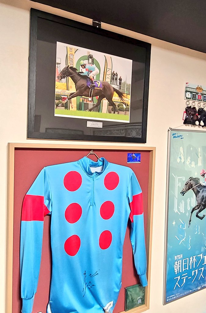 アグネスゴールド 週刊Gallop パネル アグネスゴールド 週刊Gallop パネル アグネスゴールド 週刊Gallop