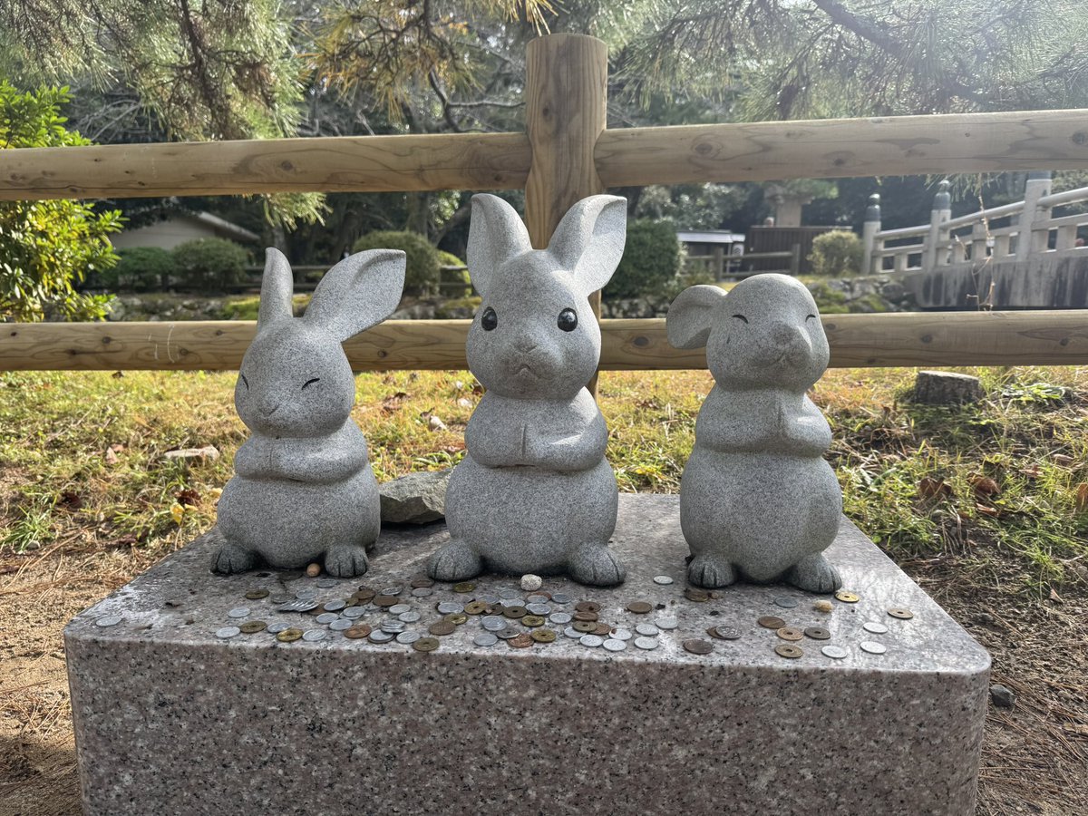 Post by まーちゃん2nd on X: 白兎