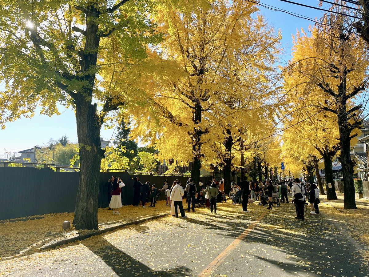 となかい　11/1までお取り置き となかい 11/1までお取り置き となかい 11/1までお取り置き となかい