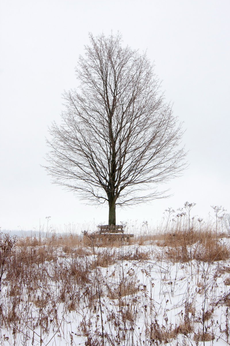 There's snow in the forecast and we are eagerly anticipating the winter wonderland that is a snow covered <a href="/innathoneyrun/">Inn at Honey Run</a>!

Experience a winter retreat like no other and book your getaway today! innathoneyrun.com/accommodations/