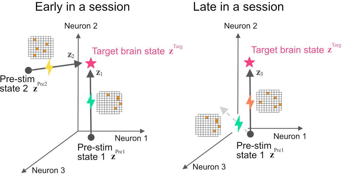 curi_ms's tweet image. Taken together, OMiSO provides greater accuracy in achieving specified brain activity states than previous methods, thereby advancing neuromodulation technologies for understanding the brain and for treating brain disorders.
Paper: openreview.net/pdf?id=Gb0mXhn… [4/n]
