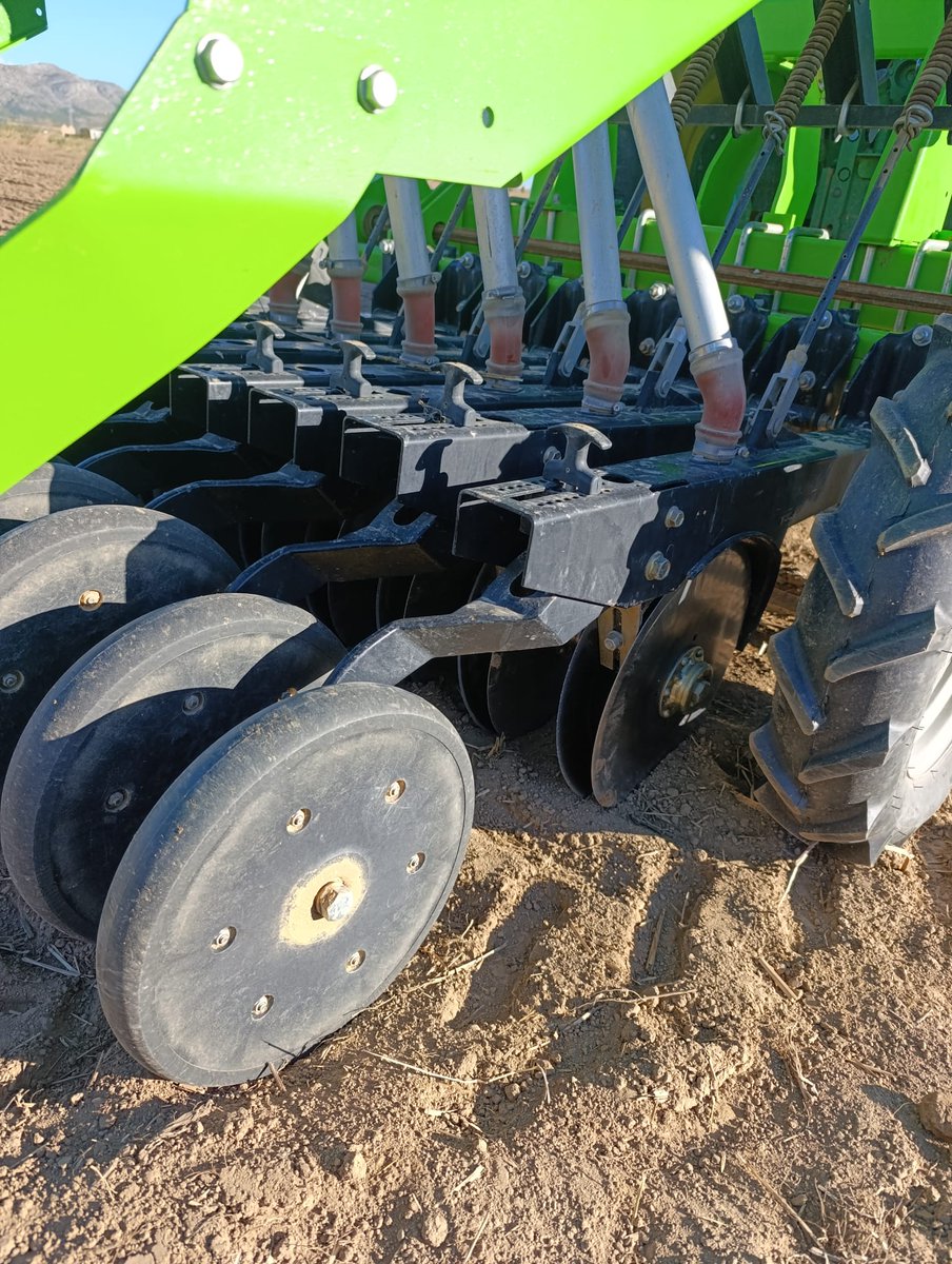 Climsostrigo tweet media