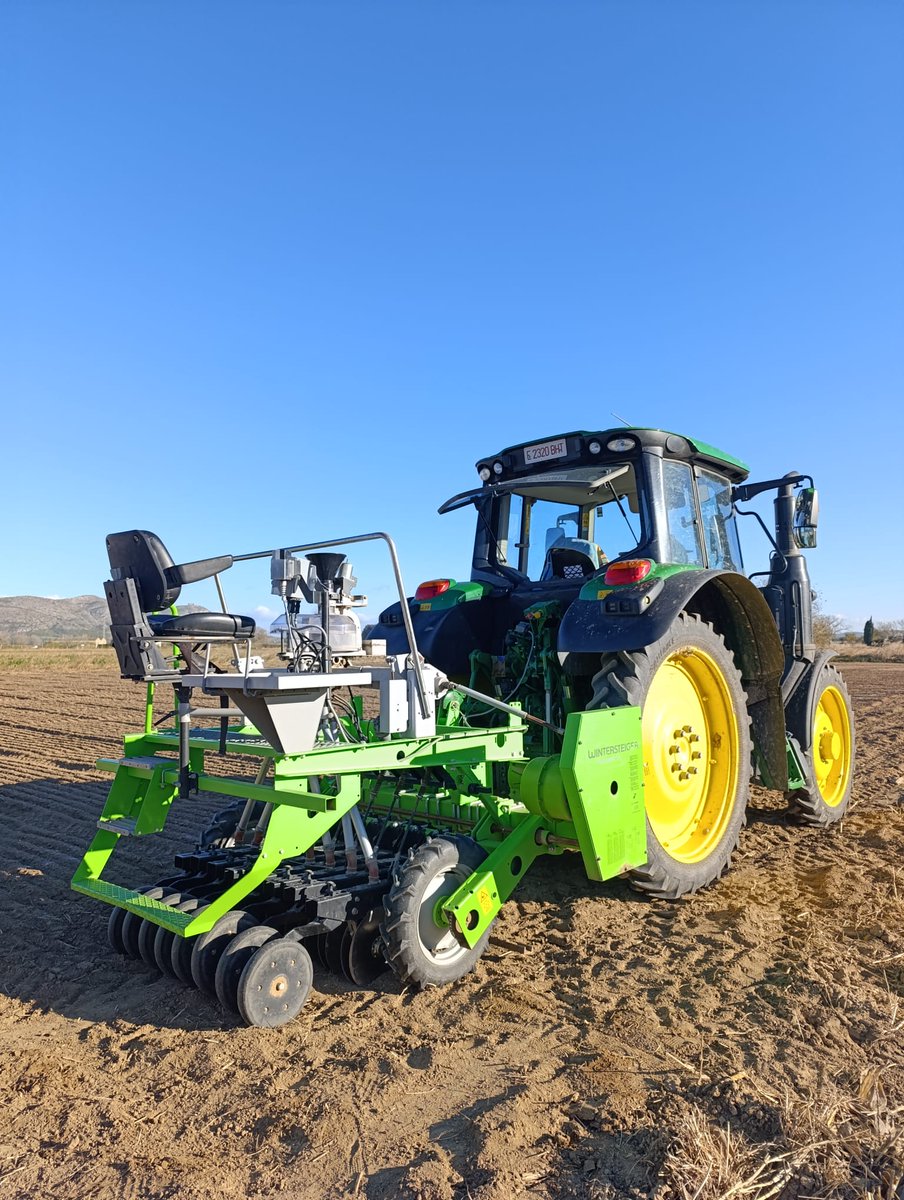 Climsostrigo tweet media