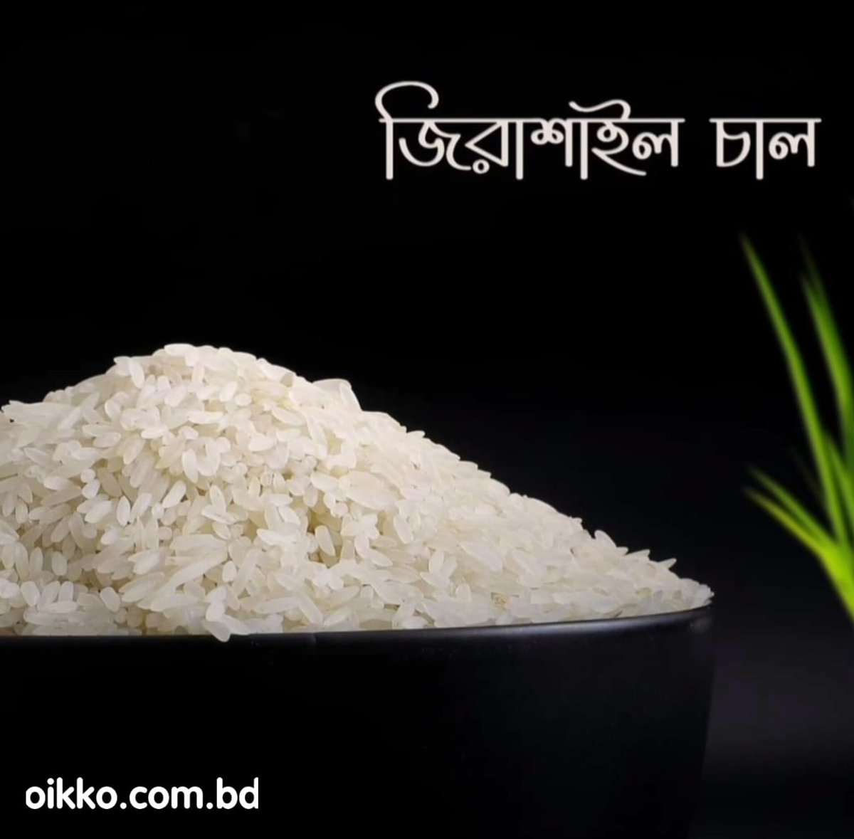 Oikko Online Shopping tweet media