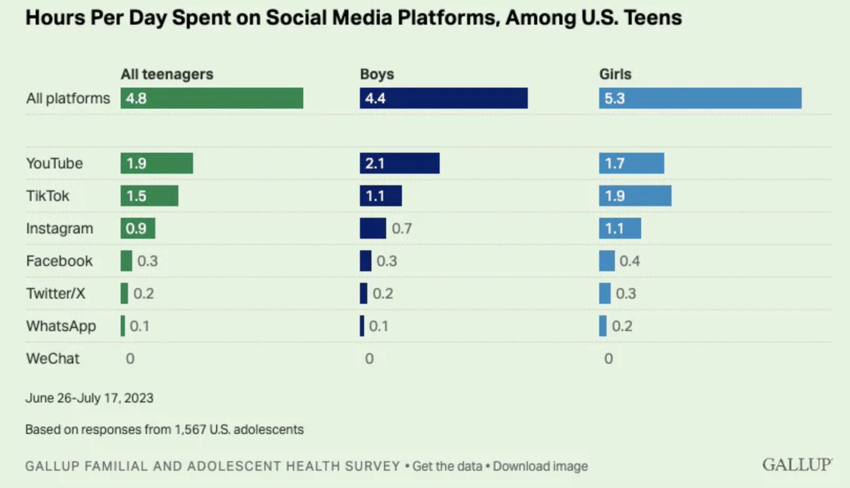 Matt A. Mayer tweet media