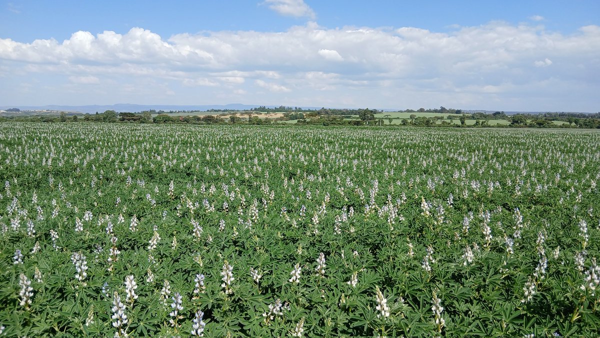 If only you knew how much effort it had taken to get to this stage...