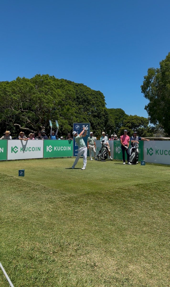 SouBolado tweet media