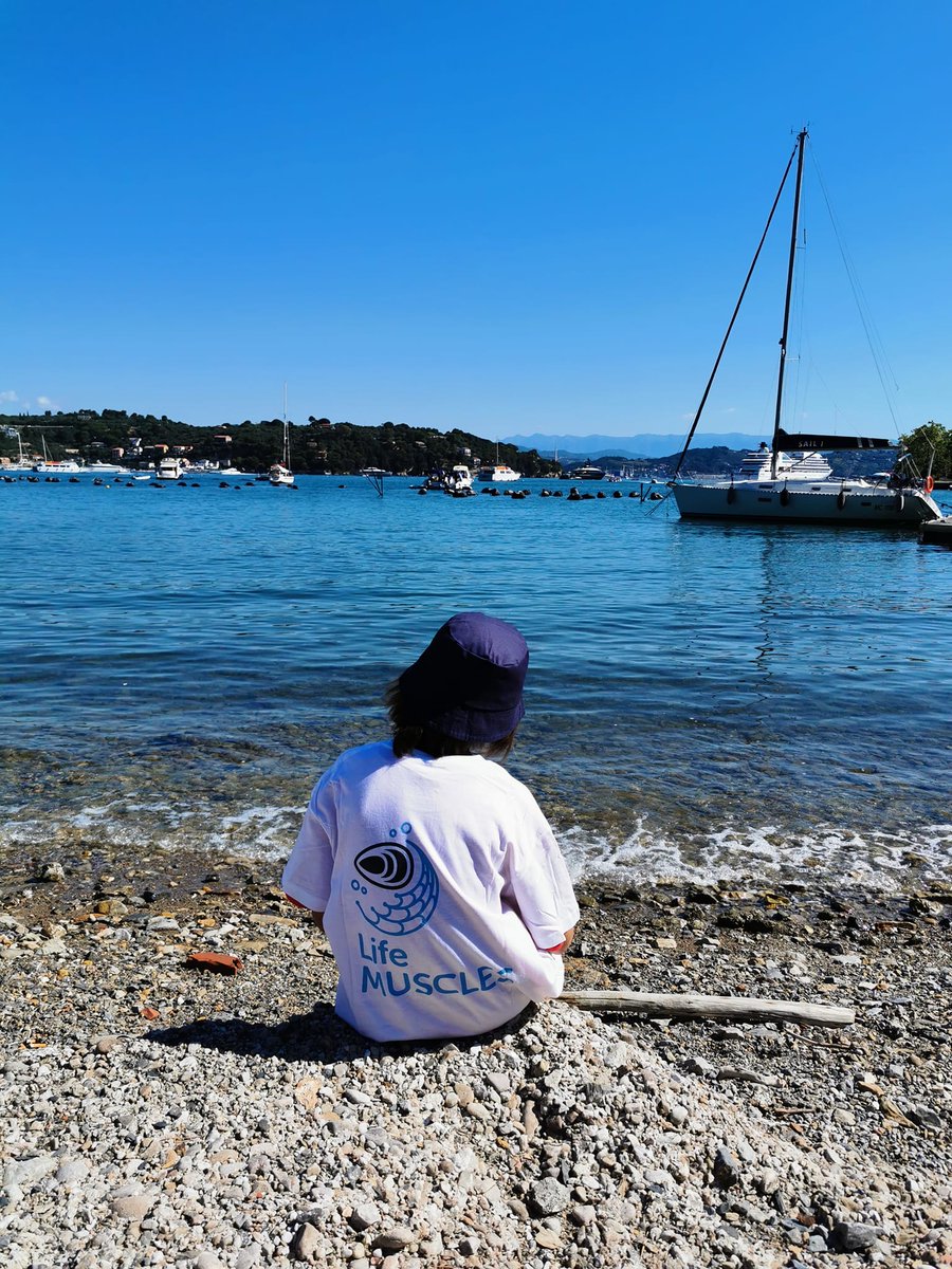 LIFEprogramme's tweet image. Four years, big results 🌿

With #LIFEProject MUSCLES project now completed, we celebrate a new model for zero-impact mussel farming:

🌊 Less plastic in the sea
♻ Recycled nets ready for reuse
🌱 Biopolymer socks that return to nature

Final results ➡ lifemuscles.eu/wp-content/upl…