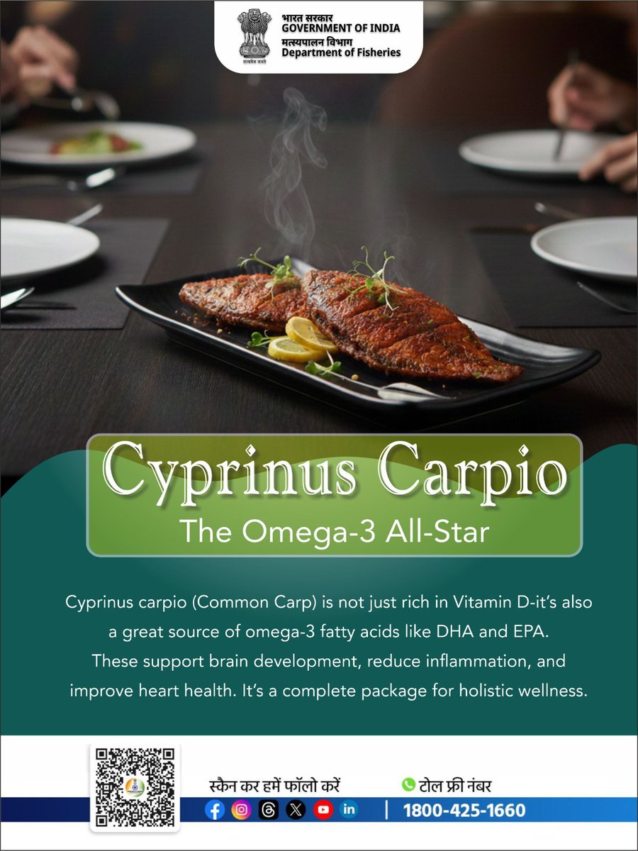 FisheriesGoI's tweet image. Packed with Vitamin D and omega-3s like DHA &amp;amp; EPA, the consumption of Cyprinus carpio supports brain development, reduces inflammation, and keeps your heart strong.

#FitWithFish #BrainBoost #VitaminDRich