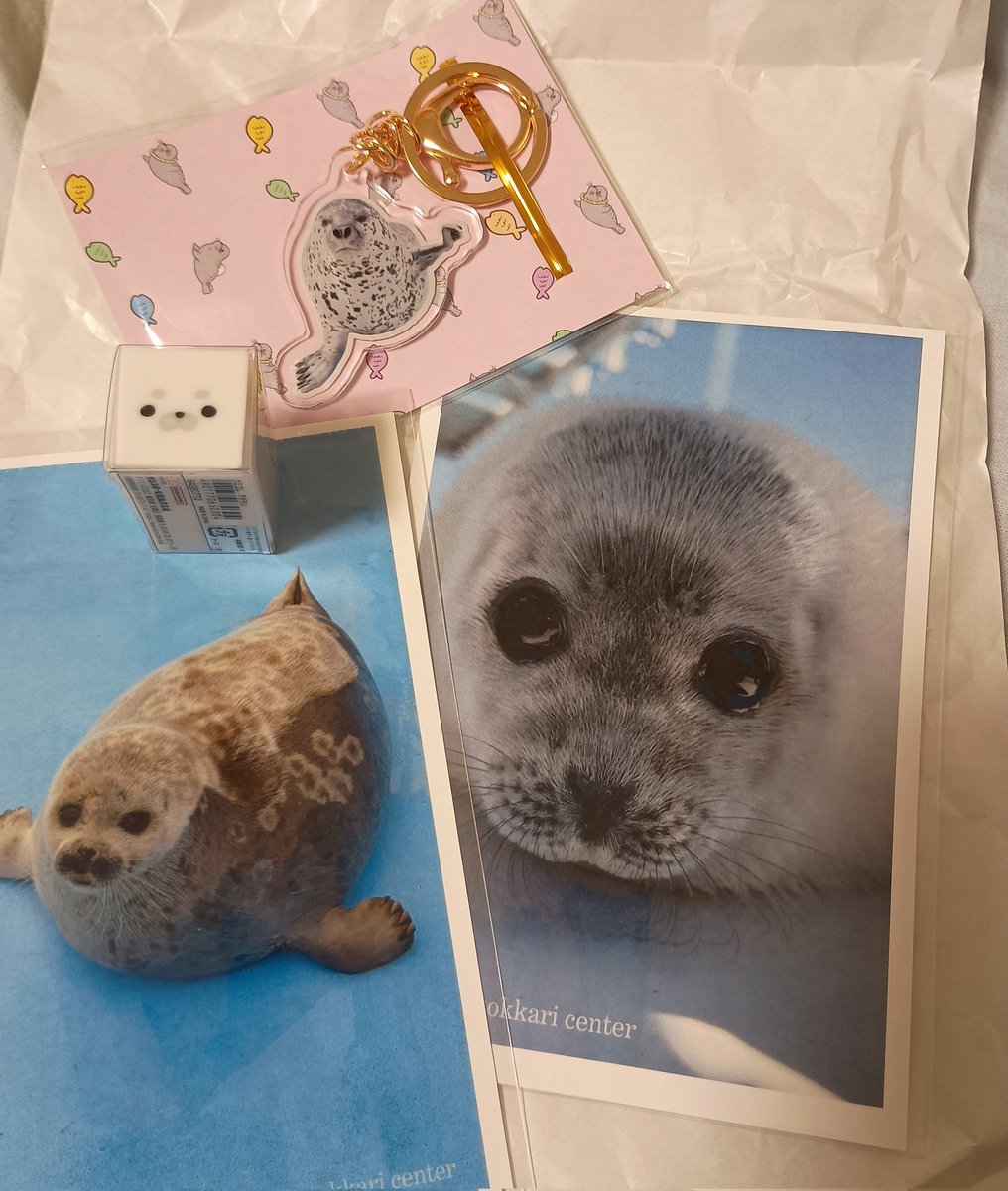 今日買ってきたアザラシグッズ
ひーちゃんのキーホルダー、ウミゴム
ポストカード左ましろ、右月
 #とっかりセンター  #アザラシ  #アザ活