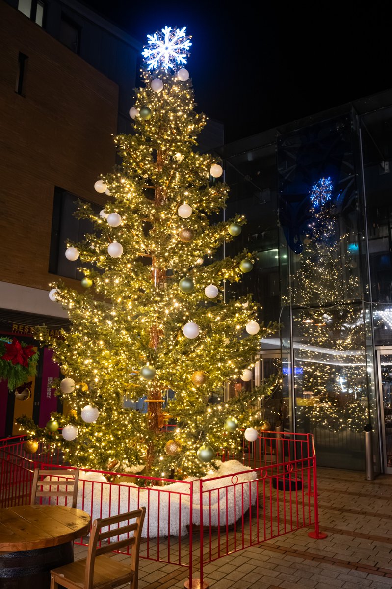 It's the start of our 12 Days of Christmashay 🕊️

Day 1 – A Partridge in a Pear Tree 

Visit our giant Christmas tree in the Christmashay Village for the perfect festive selfie. 

#12DaysOfChristmas #FestiveJoy #Christmas #Princesshay #Exeter