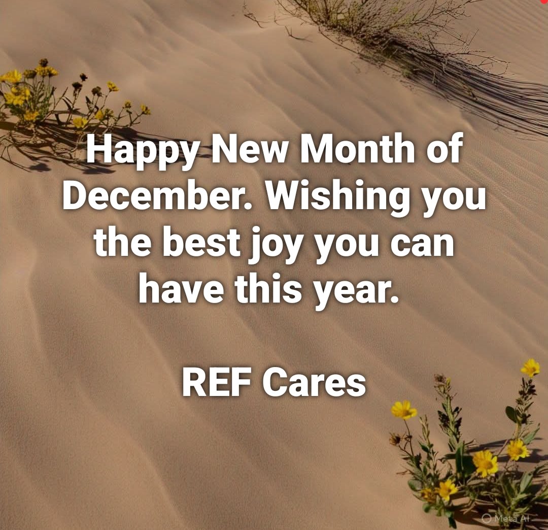 RochinsOfficial's tweet photo. REF Cares 
December to enjoy https://t.co/PqfK9YariG