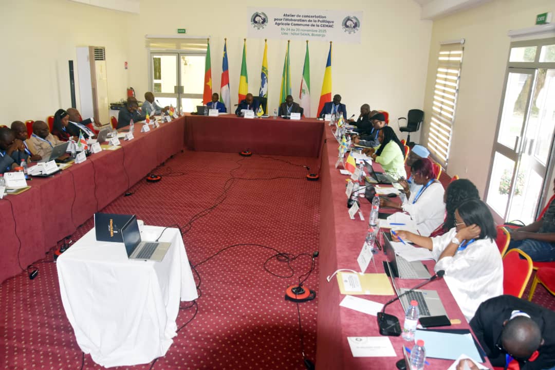 Ministère de l'Environnement et du Climat tweet media