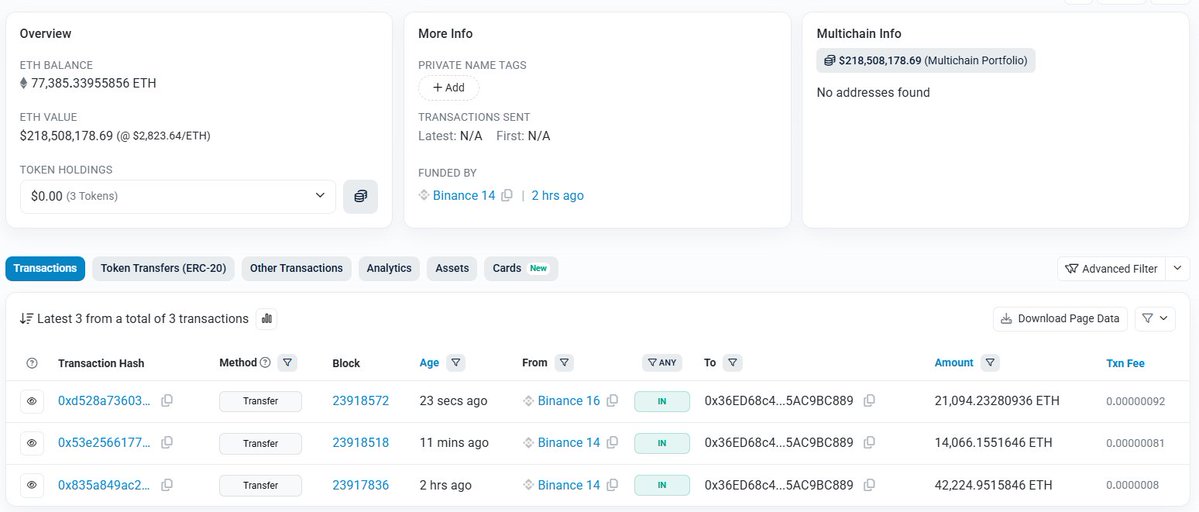 USDT 차입 및 Binance 입금 등 고래 자금 이동을 추가로 보여주는 스크린샷