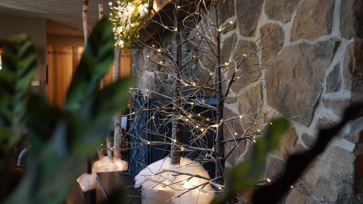 Tis' the season!
Our Christmas decor will begin going up this week and we are so excited!
Looking for a holiday retreat like no other? Book your getaway today! innathoneyrun.com