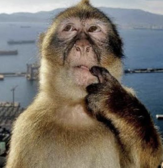 bayboxumi's tweet image. i wonder what shes thinking about