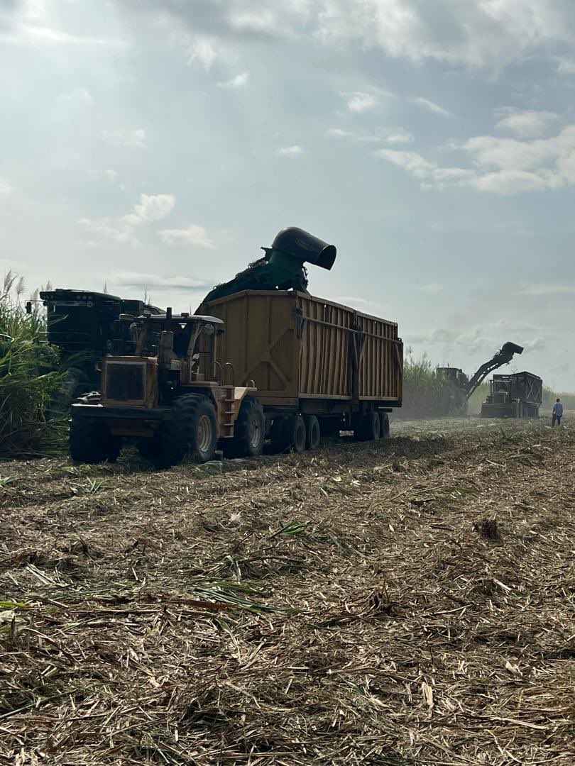 Cerramos el mes de noviembre con 300.000 toneladas de caña molida entregada al Central Azucarero Portuguesa (Capca). 

Con esta dinámica operativa, proyectamos cerrar el año con más de 600.000 toneladas, consolidando el camino hacia una zafra histórica.