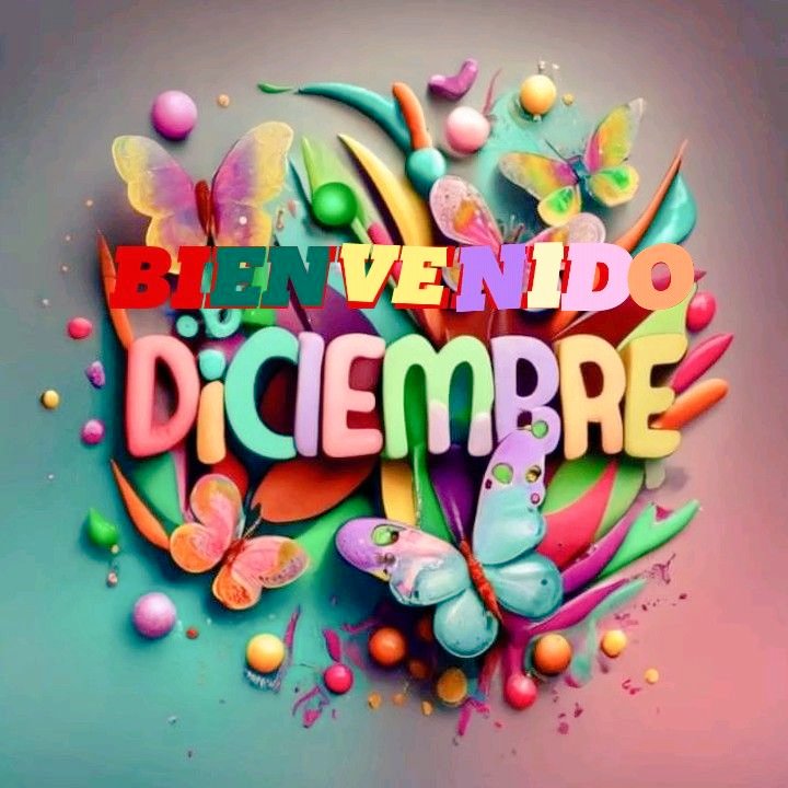 mamsalcedo's tweet photo. Bienvenido DICIEMBRE 25🌲🎉🎁💝🌹💖💯💪🏻🥳🇻🇪.

DECRETO un nuevo mes repleto de bendiciones hecho está. 

🤑🎉🥳🇻🇪🙁😘😋💖💝🫂✍🏻🙋🏻‍♀️🌹🌷🌲⛄🌞🌎🌕🫕🍜🍰☕🍾🍷🥃🍸🎇🎆🪗💻🖱️💰💎💵💸🧲⏳⌛🕛.

Gracias gracias gracias Noviembre por absolutamente todo lo vivido. https://t.co/yxKOaEW4g8