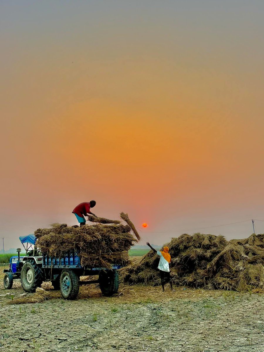 पता नहीं कौन सा गणित होता है रिश्तों में,
किसी के लिए कितना भी कर लो,
आख़िर में सब शून्य हो जाता है...

         शुभ संध्या 🙏