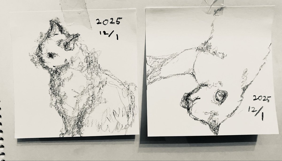 shamojikino1's tweet image. 創作の断片
我が家の猫達
#drawing #fragment #cat #ドローイング #猫のいる暮らし