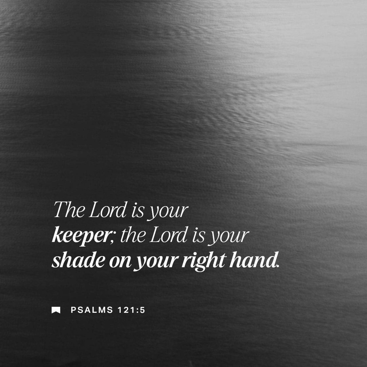 bible.com/verse-of-the-d…
