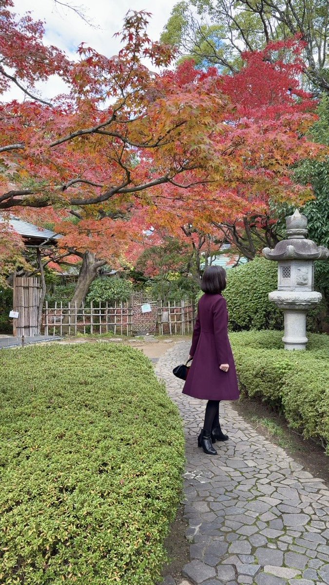 近所の庭園、松風園へ👣
こちらは隠れ家的な場所なのでお気に入り🤭
美しく紅葉した庭園を眺めながらの一服🍵🍁
癒される〜😍