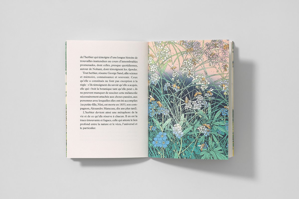 Reliefs Éditions tweet media