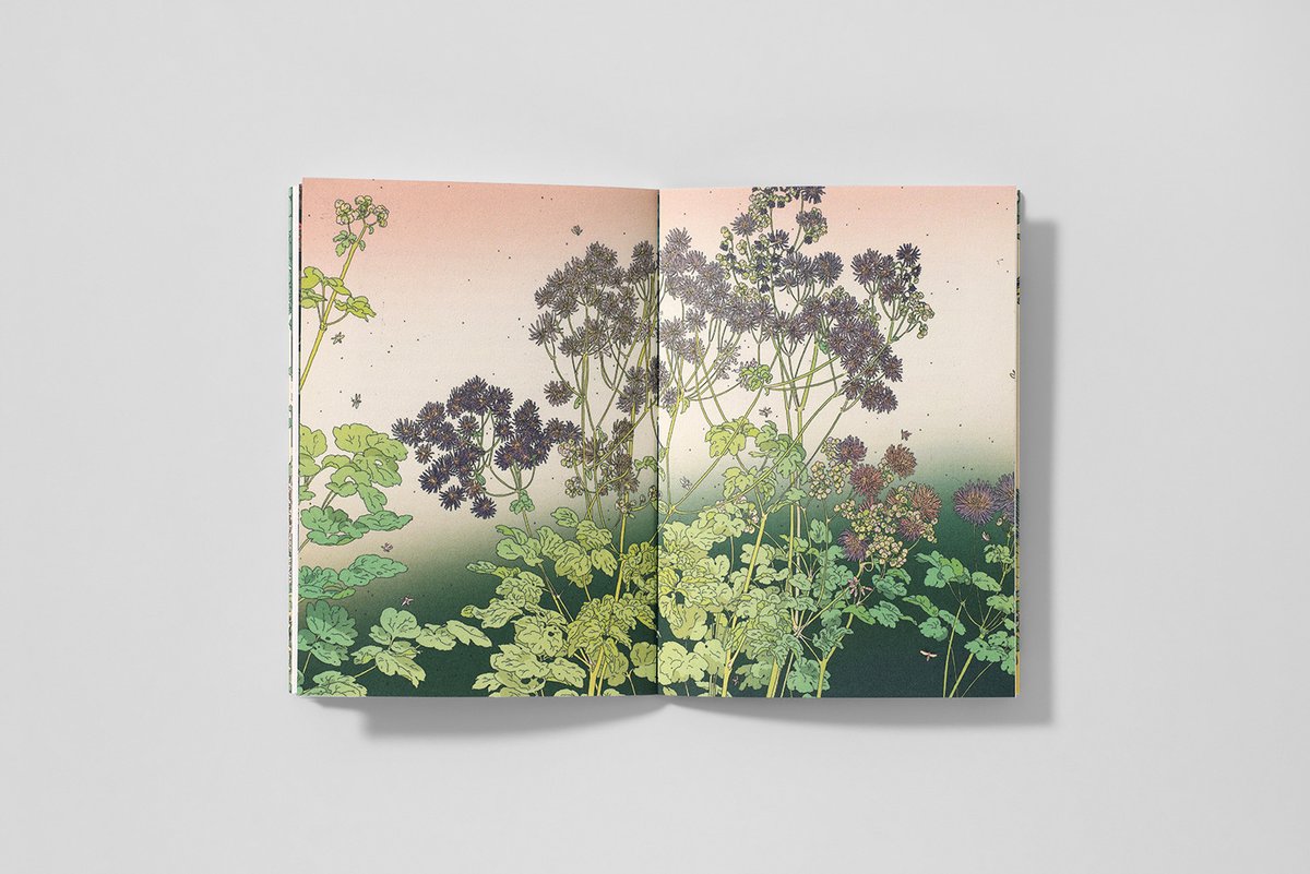 Reliefs Éditions tweet media