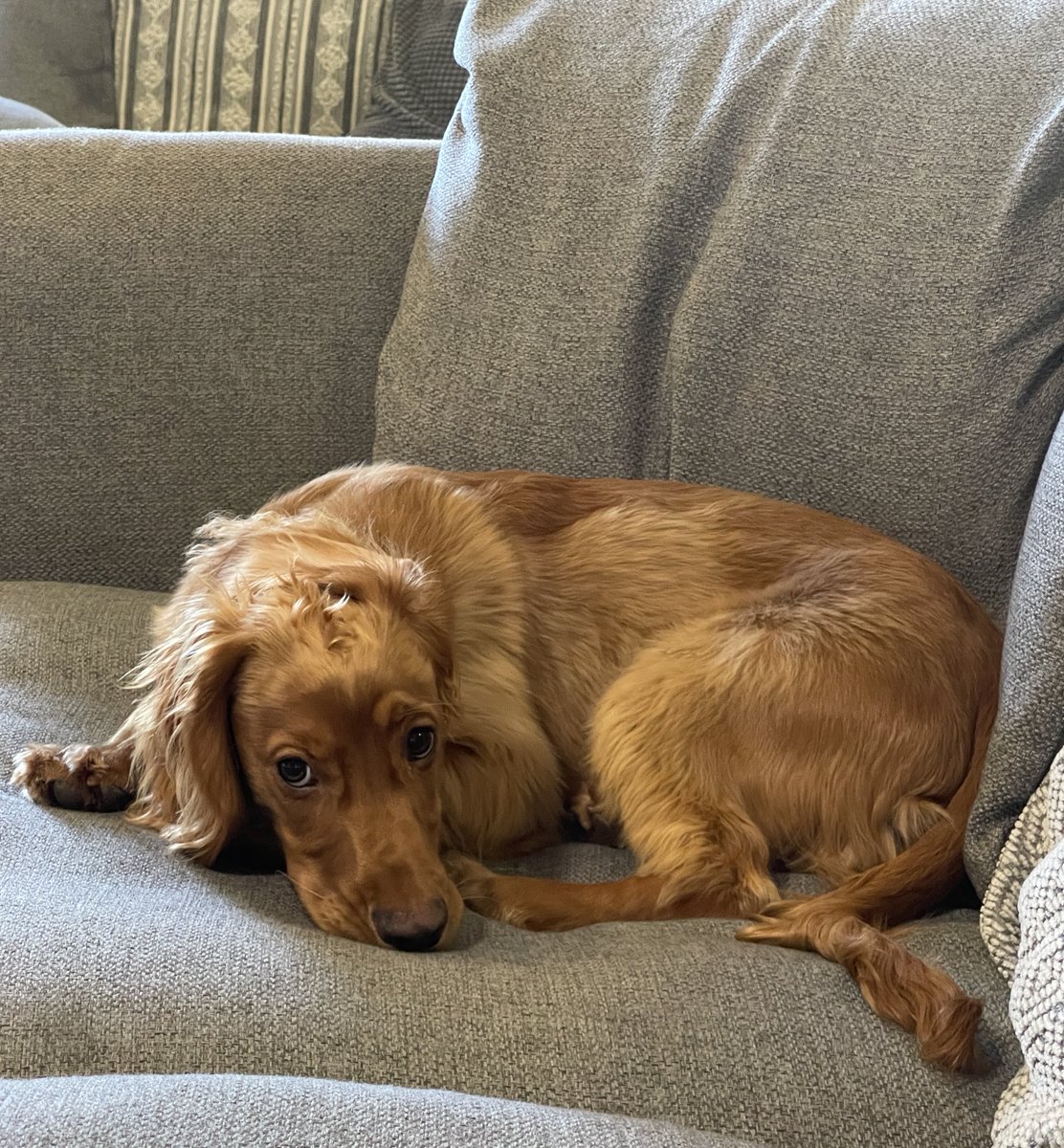 Elliot Nicol | BA, MSc tweet media