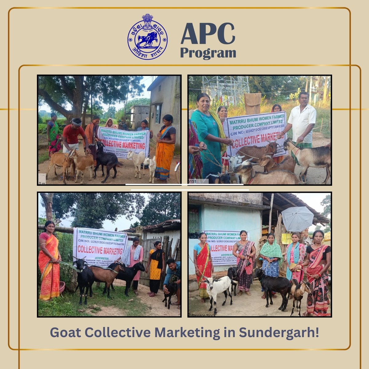 Matrubhumi Women Farmer Producer Company Ltd. (WFPCL), Badgaon, Sundergarh has facilitated ₹16.86 lakh worth of collective goat marketing so far in FY 2025–26. With transparent weight checks, fair price finalization, and linkages to trusted vendors, women farmers are gaining