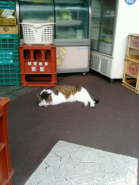 かずやん (@2VFwhgTXwq65843) / Posts / X