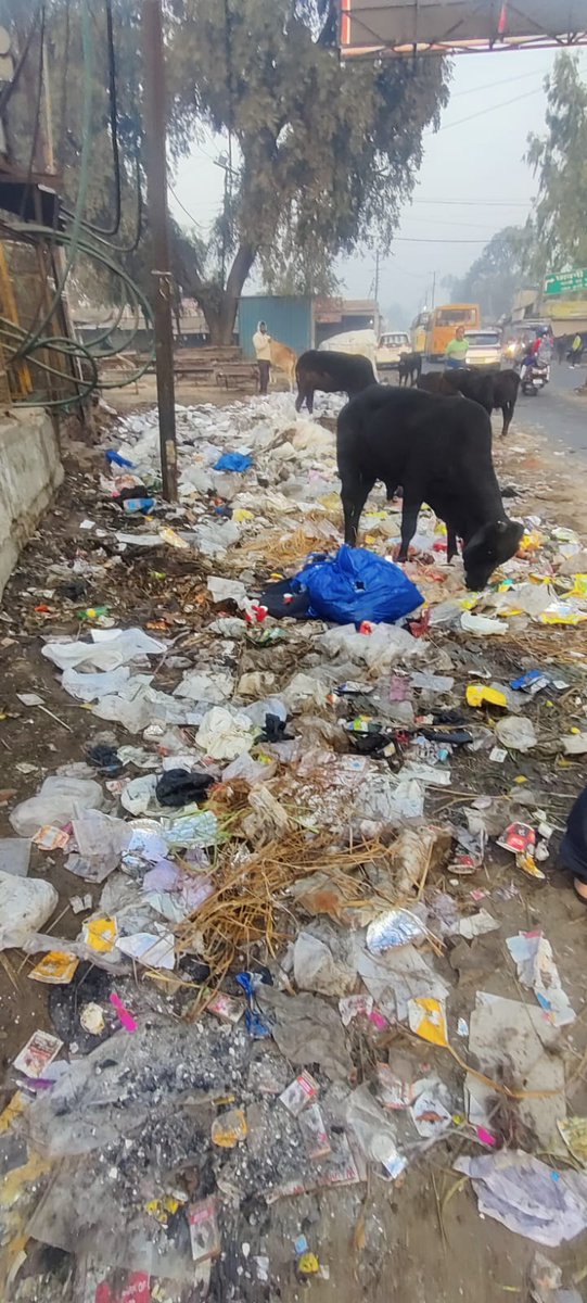 Cantt Board Meerut tweet media