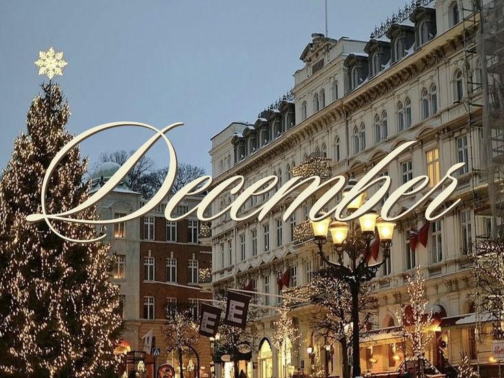 hello december 🎄☃️
