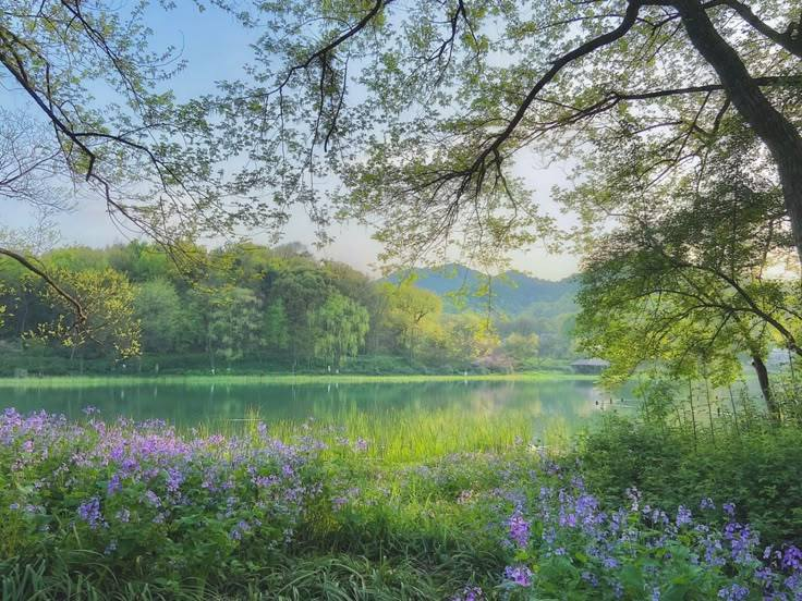 heal with nature