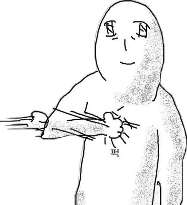 김초예 (@kcy_donquixote) on Twitter photo 