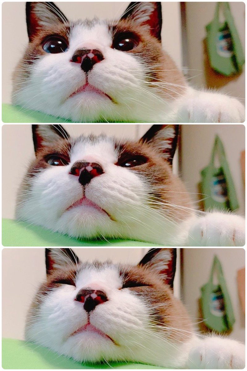 NAOKOページです♬ トップページ - NAOKO Official Website