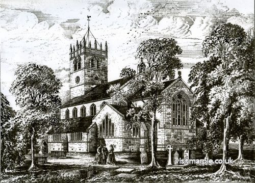 The #Marple Website tweet media